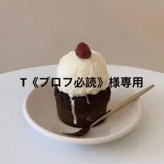 T《プロフ必読》様専用