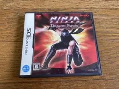 Ninja Gaiden: Dragon Sword (DS)