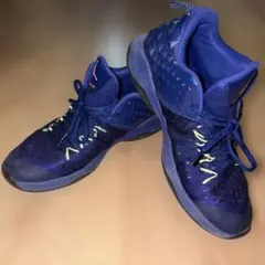NIKE JORDAN EXTRA.FLY バッシュ スニーカー 27.5cmのサムネイル