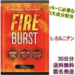 Item thumbnail for item fe1f2c45-5066-4666-afe9-3cf3328dae53