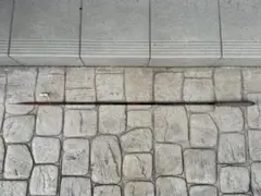 Item thumbnail for item b75d7677-a72a-463c-abb4-be0a057dcd65