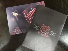 Stray Kids dominATE WorldTour ランダムトレカ　ハン