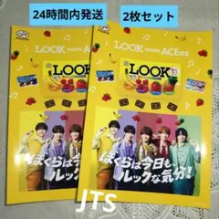 LOOK meets ACEes ステッカー 2枚セット