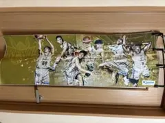 琉球ゴールデンキングス × イオン琉球 コラボマグボトル 水筒