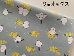 まさとも様 リクエスト 3点 まとめ商品