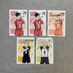 ハイキュー!! アニメイト 主将・副主将フェア 特典ポストカード 5枚セット