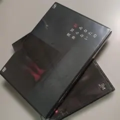 見てはいけない動画 など 未開封 レンタル仕様盤DVD2枚