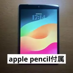 iPad第9世代 （64GB Wifi)シルバー Apple Pencil付き