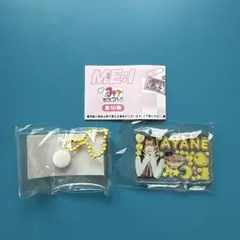 ミーアイ　みてコレ！　キーホルダー　高見文寧