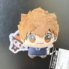 家庭教師 ヒットマン REBORN ちびぐるみ 沢田綱吉 ＆ リボーン