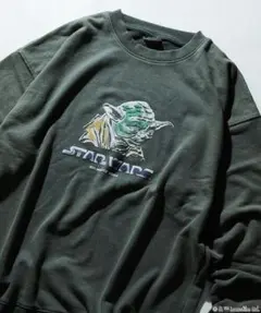 Item thumbnail for item 50acdf14-1a86-47c6-b09a-e4d13c885454