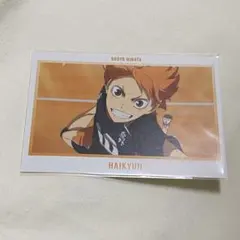 Item thumbnail for item a2c6fca2-a828-4a66-bda9-cdb6e0f28910