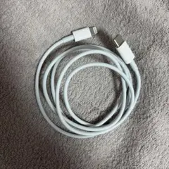 ホワイト Lightningケーブル 標準