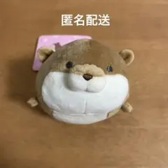 Item thumbnail for item f5e2e350-b7ee-4224-9db6-765bfb4fa01a