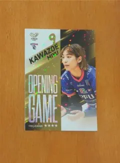 PFUブルーキャッツ　カード　川添美優　Vコレ　ＳVリーグ