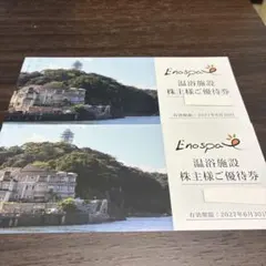 飯田グループ 株主優待券 江の島アイランドスパ 2枚セット - メルカリ