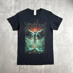 【00s used】immolation バンT Tシャツ　デスメタル　古着