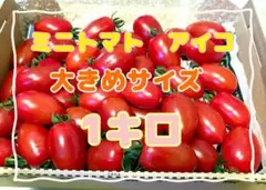 北海道産　ミニトマト　アイコ　大きめサイズのアイコ　宅急便コンパクト　1キロのサムネイル
