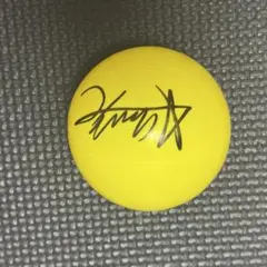 RSR24 スピッツ Spitz ガチャガチャ缶バッジ ライジングサン2024