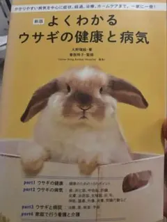 Item thumbnail for item f6925b04-54c7-486a-ab67-5a8cbe905c17