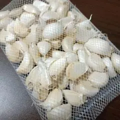갈릭 로즈 300g
