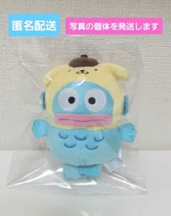 はぴだんぶい プリンになりきりマスコット ハンギョドン Sanrio