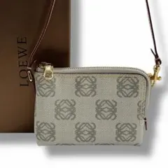 美品 LOEWE ロエベ アナグラム ポーチ アクセサリーポーチ バッグ 希少