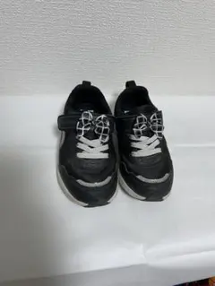 Item thumbnail for item 8db55592-5ff2-4fa4-a4cb-d2de5fd9e71d