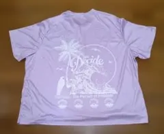 メンズTシャツ　BIG新品