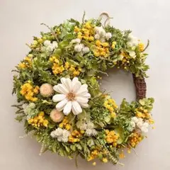 春色ナチュラルリース 25cm ドライフラワー ミモザ風 グリーン ギフト