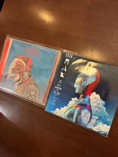 straysheep & M87 2枚セット