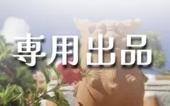 【専用出品】ゆこ&剛パンプキン様