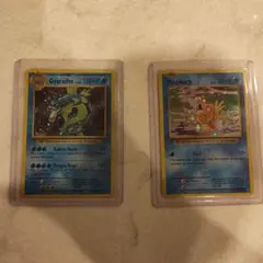 ギャラドス コイキング ポケモンカードセット