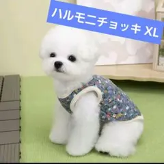 Item thumbnail for item 97494d8f-a090-4e51-ad55-3088d5e2bf25