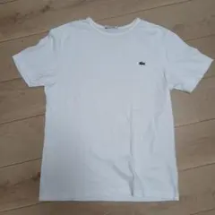 LACOSTE ラコステ Tシャツ ホワイト サイズ4
