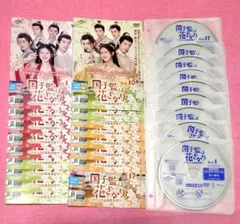 ⭐徐正溪主演⭐【花令嬢の華麗なる計画】レンタル落ち 全話 - メルカリ