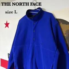 90s THE NORTH FACE スナップT フリース サイズ L