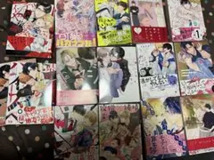 中古品BL漫画13冊+1冊まとめてしえろ先生他