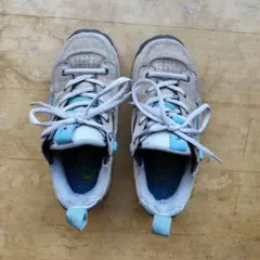 Item thumbnail for item 4fff957d-c91e-4970-80b8-b4afd645cfaf