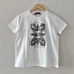 美品！CABaNキャバン アートTシャツ スビンコットン 白 ボタニカル