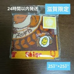 546◇ぐでたま 秋田 なまはげ クリアファイル タオルセット ご当地 限定 546◇ぐでたま 秋田 なまはげ クリアファイル タオルセット ご