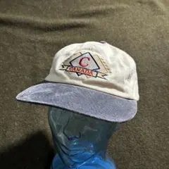 Item thumbnail for item cc4facf7-7330-4520-99c6-24ada94fb9d3