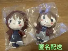 【名探偵コナン】セガラッキーくじ 灰原哀 2体セット