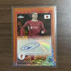 ウルグアイ代表ダルウィン・ヌニェス オートグラフカード25シリ