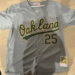 李大浩 イデホ オリックス・バファローズ ユニフォーム ミズノ Lサイズ