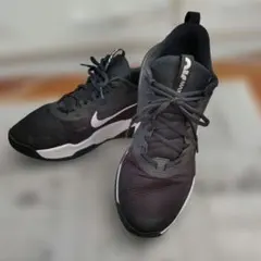 Nike Air Max （ナイキ）エア マックス アルファ トレーナー5
