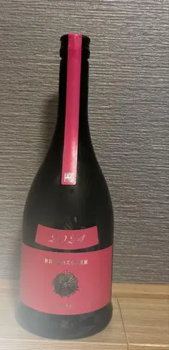 Item thumbnail for item 7f23d65a-b45b-4b53-bb6a-b522434efd63