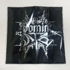StrayKids アプグレグッズ PORTABLE CUSHION