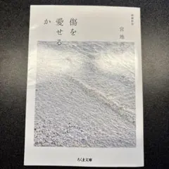 傷を愛せるか 増補新版