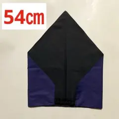 Item thumbnail for item 54aedc67-a270-4751-a43f-10cd6b465e76